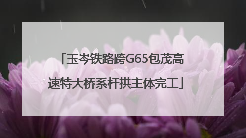 玉岑铁路跨G65包茂高速特大桥系杆拱主体完工
