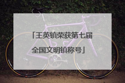 王英镇荣获第七届全国文明镇称号