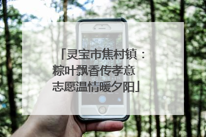 灵宝市焦村镇：粽叶飘香传孝意 志愿温情暖夕阳