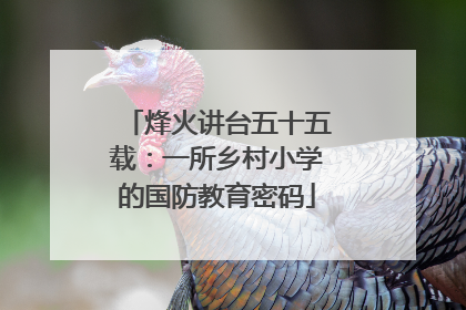 烽火讲台五十五载：一所乡村小学的国防教育密码