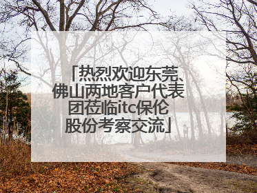 热烈欢迎东莞、佛山两地客户代表团莅临itc保伦股份考察交流