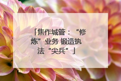 焦作城管：“修炼”业务 锻造执法“尖兵”
