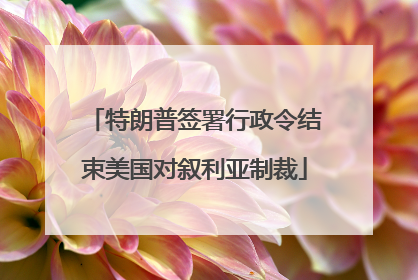 特朗普签署行政令结束美国对叙利亚制裁