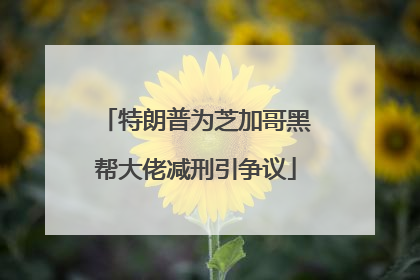 特朗普为芝加哥黑帮大佬减刑引争议