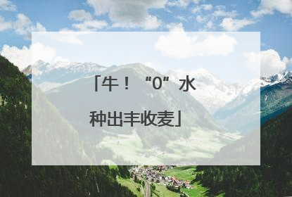 牛！“0”水种出丰收麦