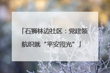 石狮林边社区：党建领航织就“平安霞光”
