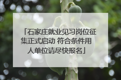 石家庄就业见习岗位征集正式启动 符合条件用人单位请尽快报名