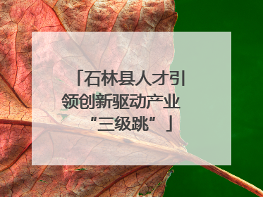 石林县人才引领创新驱动产业“三级跳”