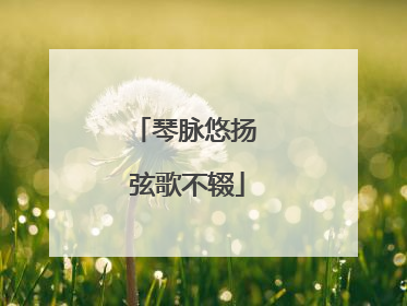 琴脉悠扬 弦歌不辍