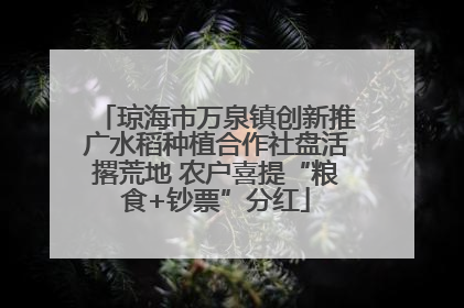琼海市万泉镇创新推广水稻种植合作社盘活撂荒地 农户喜提“粮食+钞票”分红