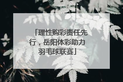 理性购彩责任先行，岳阳体彩助力羽毛球联赛