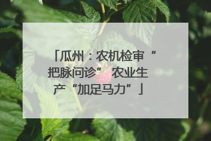 瓜州：农机检审“把脉问诊” 农业生产“加足马力”