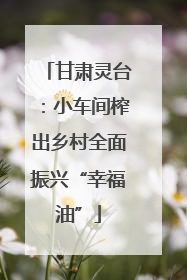 甘肃灵台：小车间榨出乡村全面振兴“幸福油”