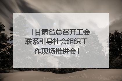 甘肃省总召开工会联系引导社会组织工作现场推进会