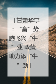 甘肃华亭：“畜”势腾飞兴“牛”业 政策助力添“牛”劲