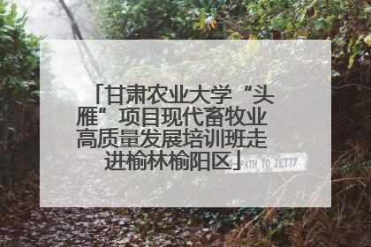 甘肃农业大学“头雁”项目现代畜牧业高质量发展培训班走进榆林榆阳区