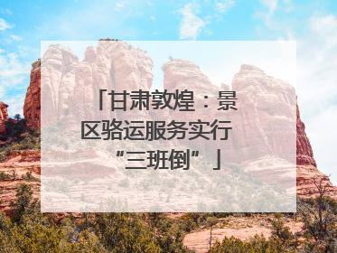甘肃敦煌：景区骆运服务实行“三班倒”
