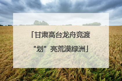 甘肃高台龙舟竞渡“划”亮荒漠绿洲