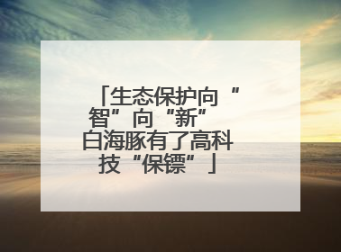 生态保护向“智”向“新” 白海豚有了高科技“保镖”
