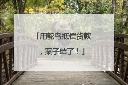 用鸵鸟抵偿货款，案子结了！