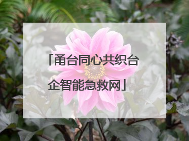 甬台同心共织台企智能急救网