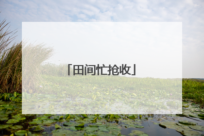 田间忙抢收