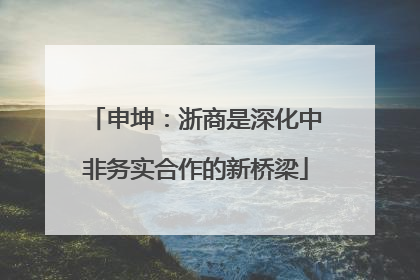 申坤：浙商是深化中非务实合作的新桥梁