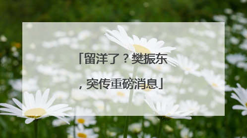留洋了？樊振东，突传重磅消息