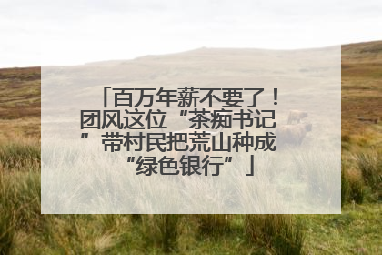 百万年薪不要了！团风这位“茶痴书记”带村民把荒山种成“绿色银行”