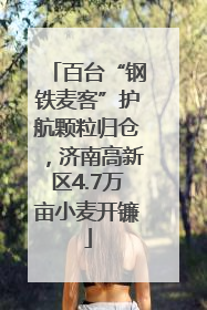 百台“钢铁麦客”护航颗粒归仓，济南高新区4.7万亩小麦开镰