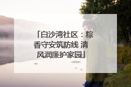 白沙湾社区：粽香守安筑防线 清风润廉护家园