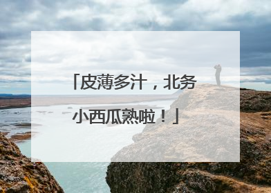 皮薄多汁，北务小西瓜熟啦！
