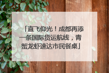 直飞仰光！成都再添一条国际货运航线，青蟹龙虾速达市民餐桌