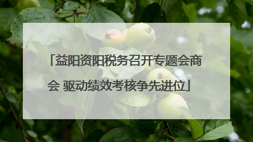 益阳资阳税务召开专题会商会 驱动绩效考核争先进位