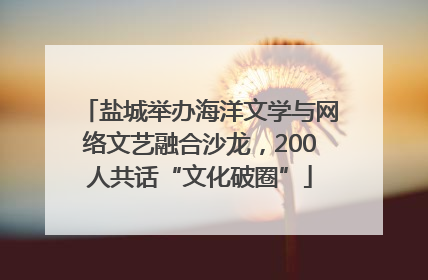 盐城举办海洋文学与网络文艺融合沙龙，200人共话“文化破圈”