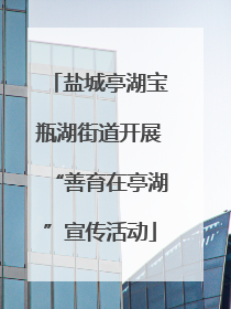盐城亭湖宝瓶湖街道开展“善育在亭湖”宣传活动