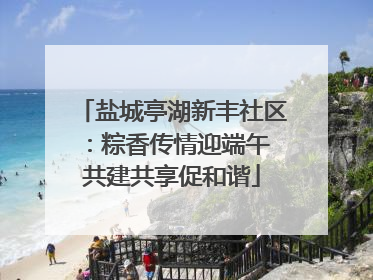 盐城亭湖新丰社区：粽香传情迎端午 共建共享促和谐