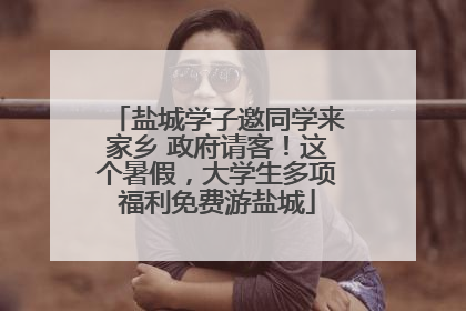 盐城学子邀同学来家乡 政府请客！这个暑假，大学生多项福利免费游盐城