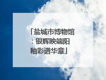 盐城市博物馆：银辉映端阳 釉彩谱华章