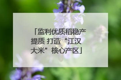 监利优质稻稳产提质 打造“江汉大米”核心产区