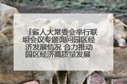 省人大常委会举行联组会议专题询问园区经济发展情况 合力推动园区经济高质量发展 王宁主持会议并讲话 王予波带队到会应询