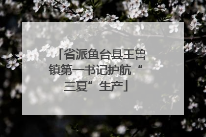 省派鱼台县王鲁镇第一书记护航“三夏”生产