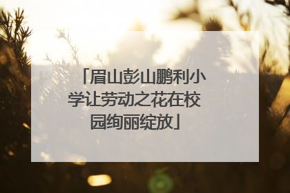 眉山彭山鹏利小学让劳动之花在校园绚丽绽放