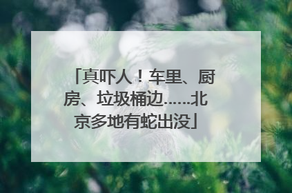 真吓人！车里、厨房、垃圾桶边……北京多地有蛇出没