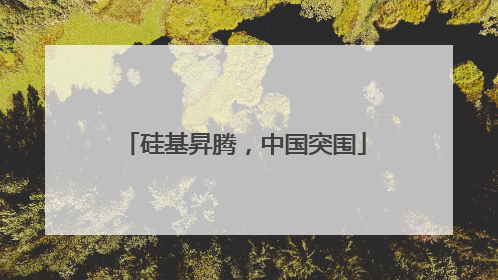 硅基昇腾，中国突围