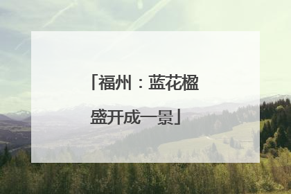 福州：蓝花楹盛开成一景