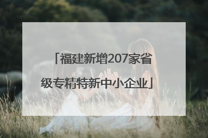 福建新增207家省级专精特新中小企业