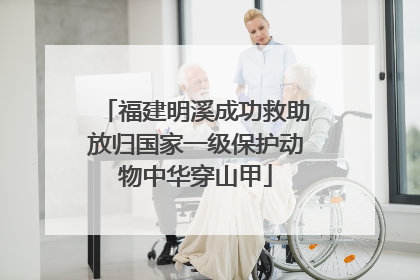 福建明溪成功救助放归国家一级保护动物中华穿山甲
