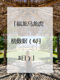 福龙马龙虎榜数据（6月3日）