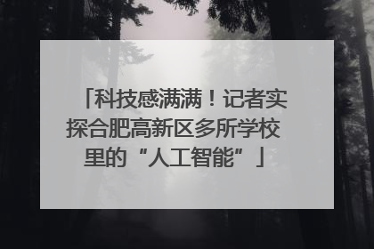 科技感满满！记者实探合肥高新区多所学校里的“人工智能”